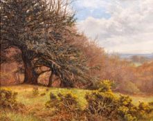Frank Walton (1840-1928) Holmbury near Dorking, Oil on canvas, Signed lower right, 41 x 51 cm (16 x