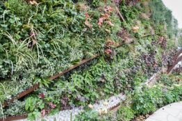 *Living wall13.5m long x 3.7m high Living wall depicting a representation of a `Peak District