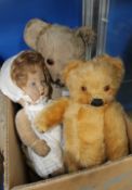 A Merrythought gold mohair teddy bear, circa 1950, with orange glass eyes and a black vertically