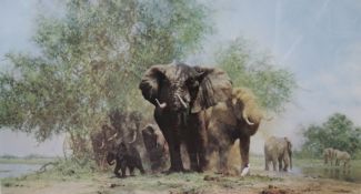 David Shepherd OBE Elephants and Egrets Limited Edition Print 659/1300 Signed lower right 48cm x