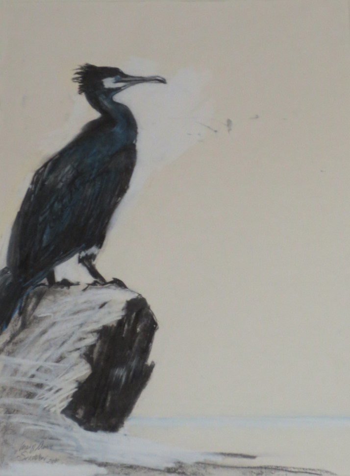 Mary Anne Sneddon (20th century school) Majestic Cormorant Pastel Signed and dated 2001 lower left