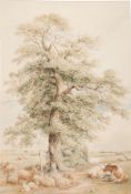 Thomas Sidney Cooper (1803-1902) Canterbury Meadows. Watercolour Signed and indistinctly dated