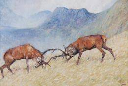 Malcolm Coward (20th century) Rutting stags Oil on canvasboard Signed lower right 64 x 94cm (25 x