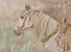 Anna Dixon (1873-1959) Head study of a horse Oil sketch on board Signed lower left 24 x 32cm (9 1/2