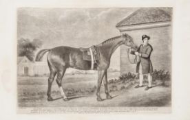 After George Stubbs Eclipse, the Property of Capt.n O Kelly Mezzotint 1804, Laurie & Whittle