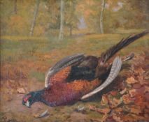 Fred Mauston (early 20th century) Still life of pheasant Oil on canvas Indistinctly signed lower