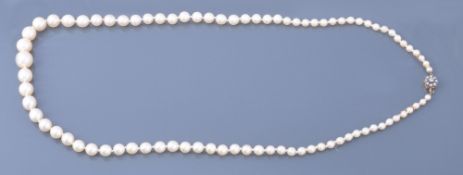 A single row graduated cultured pearl necklace, comprising eighty-five cultured pearls, graduated