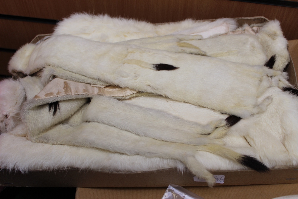 White 1930`s fur cape and white fur necklets with ermine trim