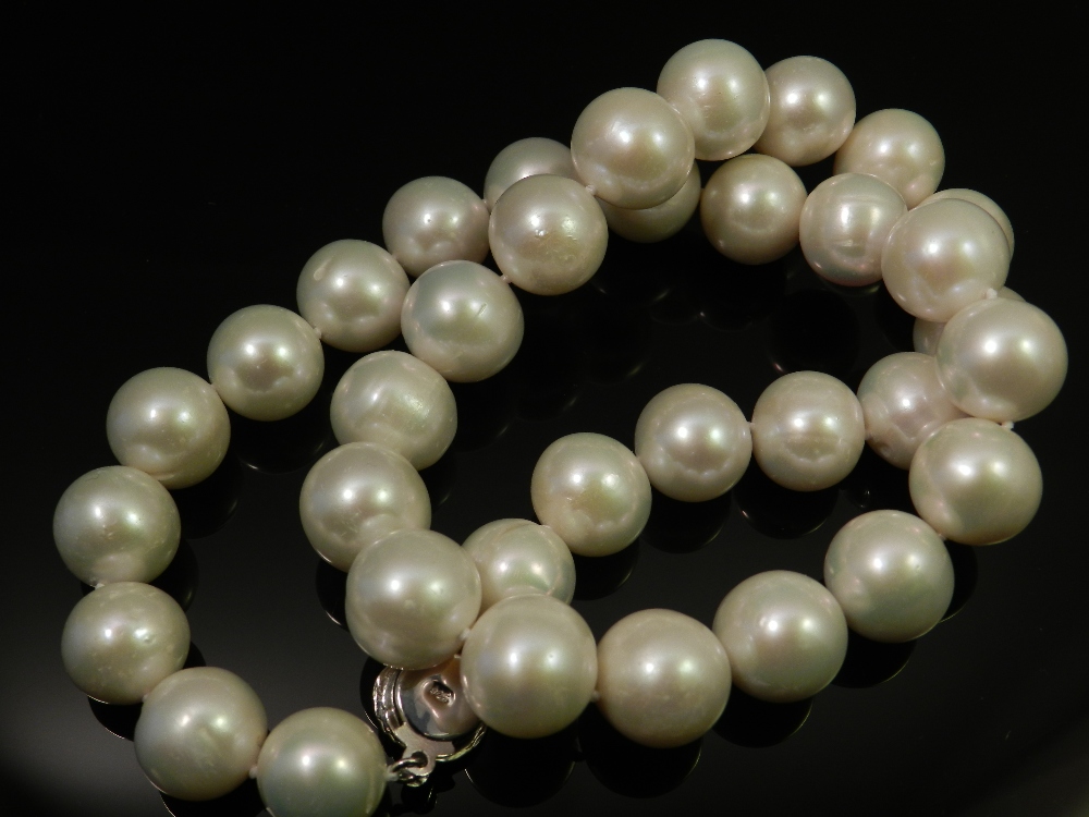 A cultured pearl single strand necklace, having a 925 silver clasp.