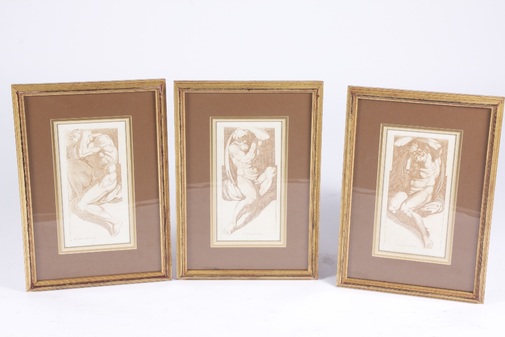 Set of six 18th century engravings depicting male nudes mounted in gilt frames, 14 x 26 cm.