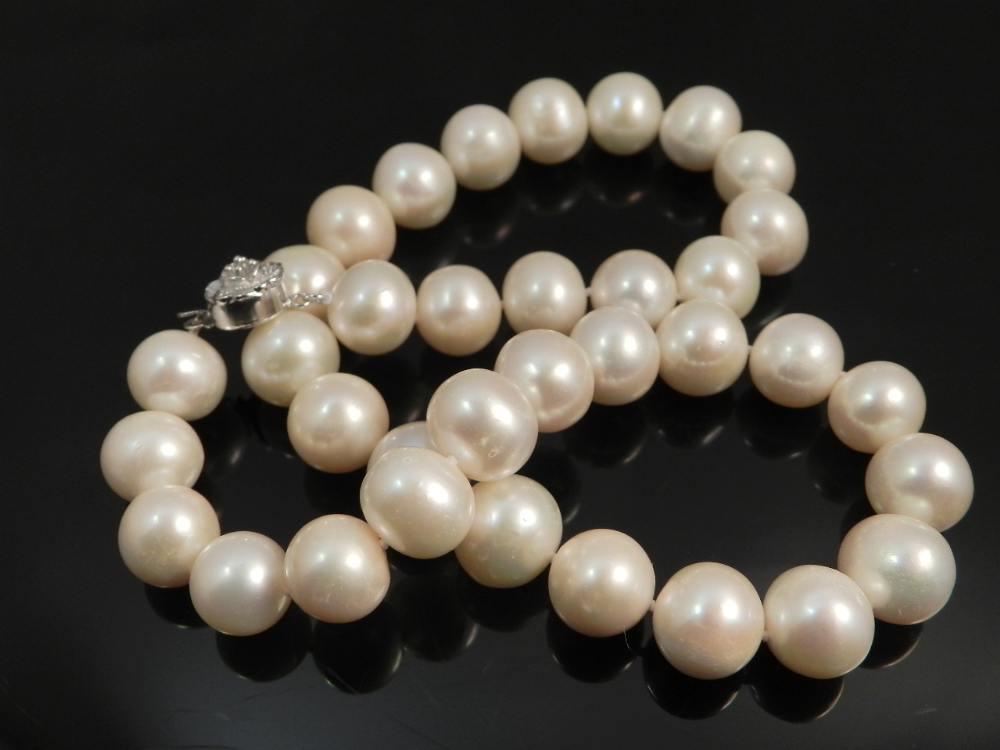 A single string pearl necklace having 925 silver clasp.