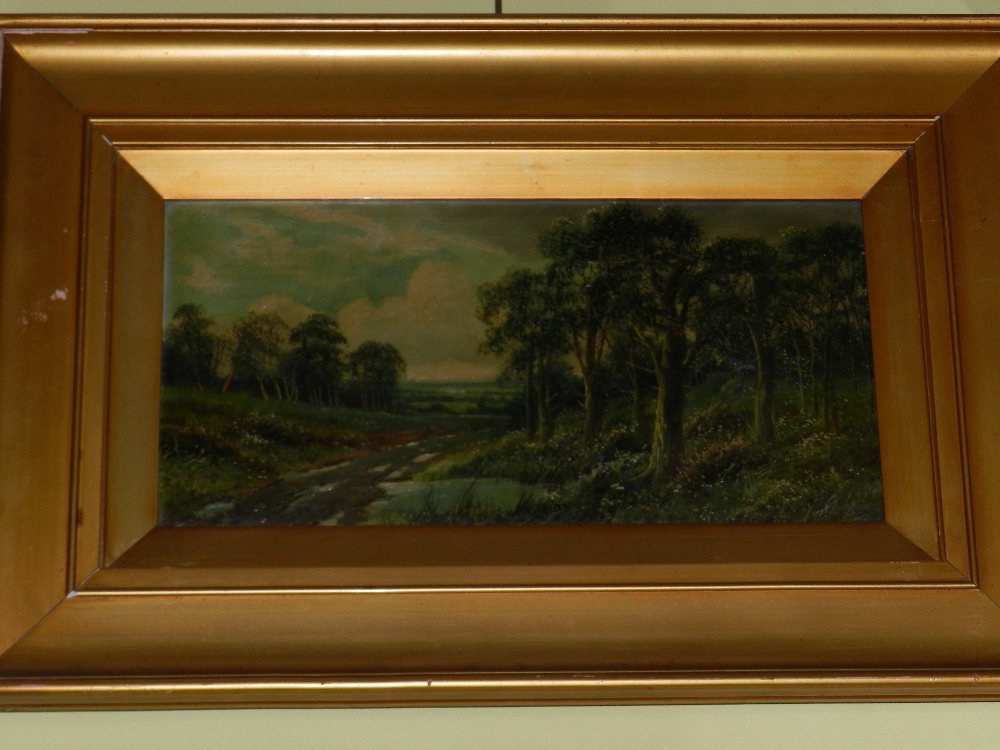 A pair of framed oil on canvas landscapes, possibly Sussex scenes signed `James,`.