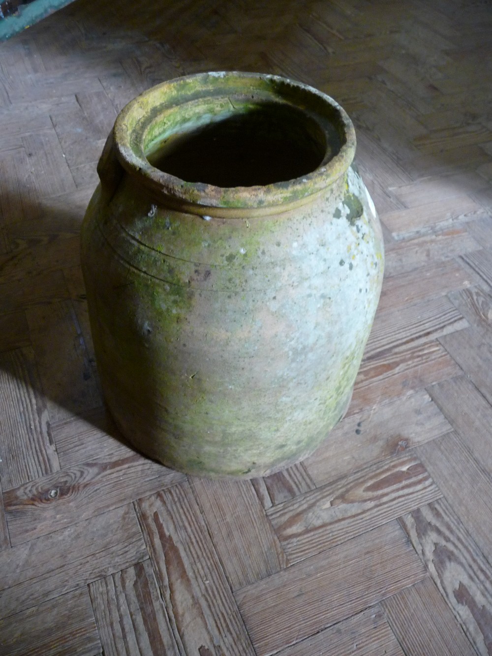 A terracotta rhubarb forcer.