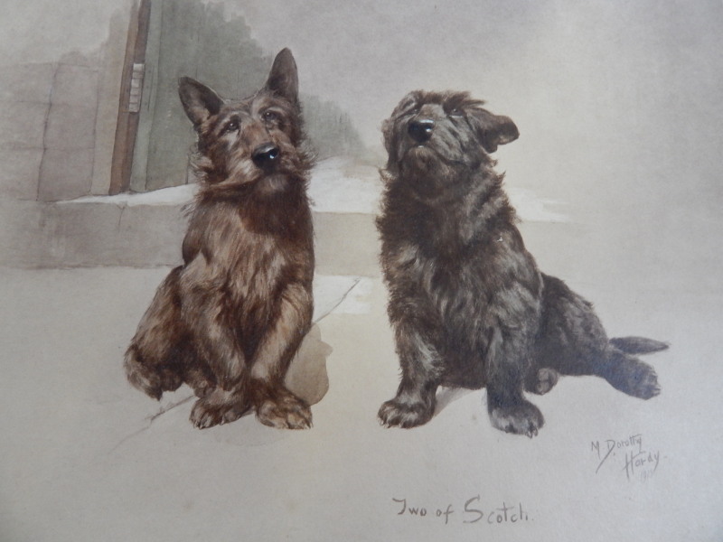 M Dorothy Hardy. Two of Scotch, signed coloured print of terriers, 32cm x 40cm.