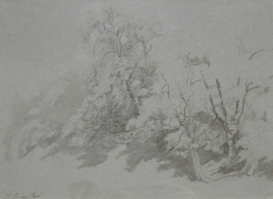 Peter De Wint (1784-1849). Levens Park, Westmoreland, woodland scene, pencil with blue and grey