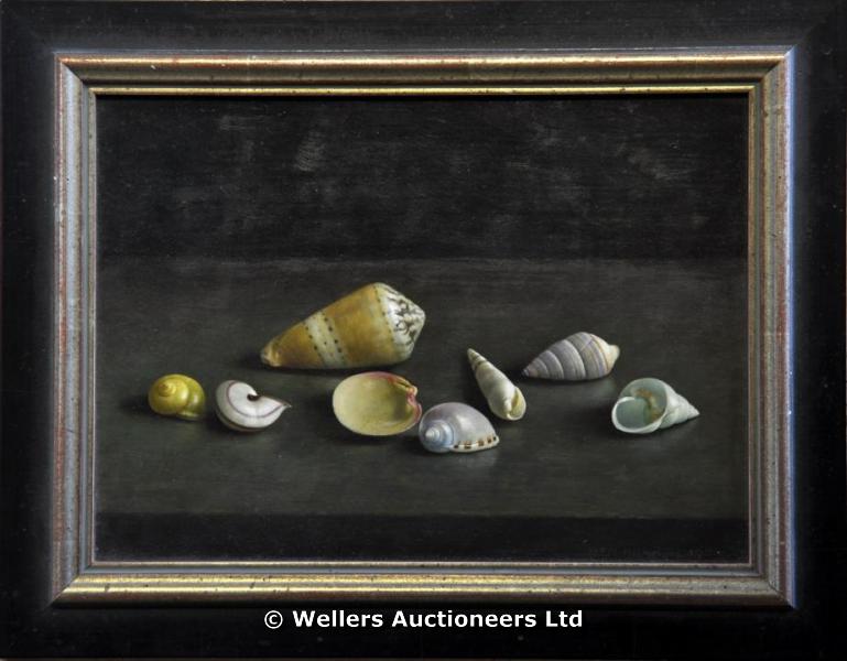 "H.F.N Helmantel - still life of shells, oil on board, signed & dated 1980, inscribed verso with