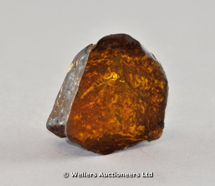 An amber style rock with insect