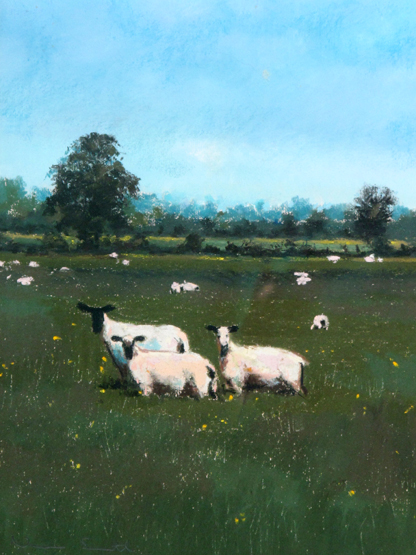 NORMAN SMITH (BRITISH, BORN 1949), "Three Sheep", signed and labelled verso, pastels. 21" x 14".