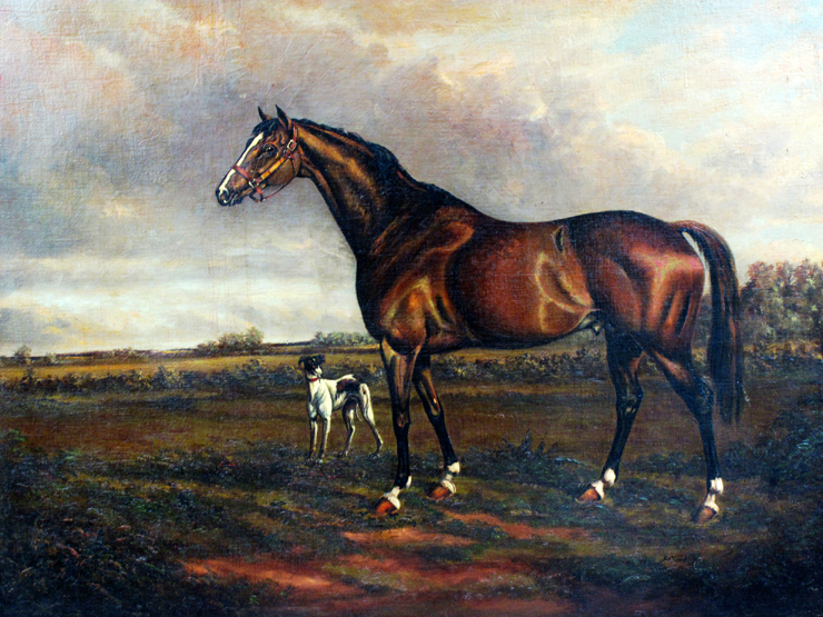 J.CLARK (BRITISH, LATE 19TH EARLY 20TH CENTURY), thoroughbred race horse with dog, in a meadow,