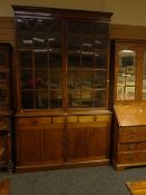 An early nineteenth century mahogany bookcase cupboard having two glazed upper doors with shaped and