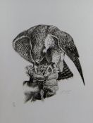After CHARLES FREDERICK TUNNICLIFFE Limited Edition (11/90) monochrome print; a falcon perched