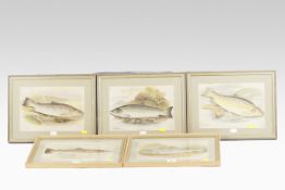 Five early 19th century coloured prints; originally presented with the `Angler` of trout and