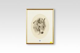 ENGLISH SCHOOL pencil study, oval format; head of a donkey, 9 x 11 ins (23 x 28 cms) and referring