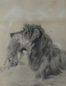 Unattributed fine pencil drawing of a dog with rabbit quarry, unsigned, 11.75 x 8.5 ins (28 x 22