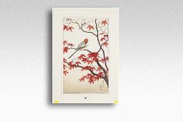 ORIENTAL SCHOOL coloured lithograph; study of a bird on the branches of a tree, signed, 20.5 x 12.25