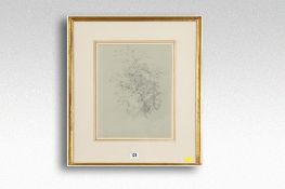 DIANA ARMFIELD pencil and chalk on paper; entitled verso `Garden Study`, 13 x 10 ins (33 x 26 cms).