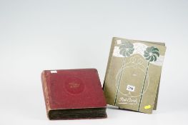 Two well filled postcard albums.
