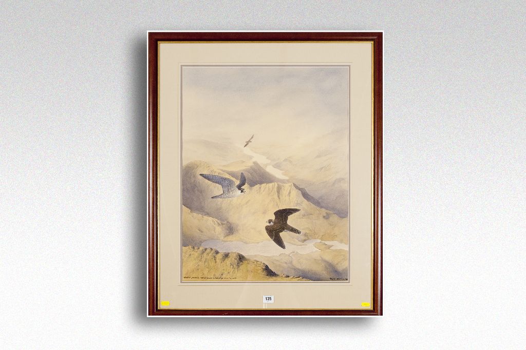 PHILLIP SNOW watercolour; entitled `Adult and Juvenile Peregrines - Snowdon from the South` and