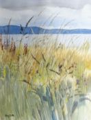 ROY OSTLE, WELSH SCHOOL; Watercolour - coastal scene through reeds with hills to background, signed,