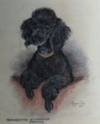 MARJORIE COX (1915 - 2003); Pastel - study of a dog `FRANCETTO OF WARWICK`, signed and dated 1966.