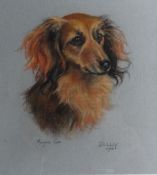 MARJORIE COX (1915 - 2003); Pastel - study of a dog `DILLY`, signed and dated 1962. 12.5 x 10.75 ins