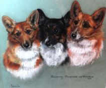 MARJORIE COX (1915 - 2003); Pastel - group study of corgis `JESSAMY, PINAFORE & TROUBLE`, signed and