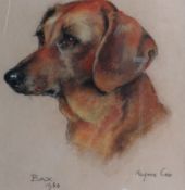 MARJORIE COX (1915 - 2003); Pastel - study of a dog `BAX`, signed and dated 1960. 9 x 8.25 ins (23