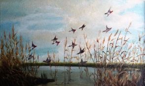 ENGLISH SCHOOL; oil on canvas - mallards in flight over reeds, 12 x 19 ins (30 x 48 cms)