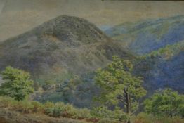 WILLIAM SIDNEY MORRISH (1844-1917); `DARTMOOR. FINGLE BRIDGE FROM UPPER PATH`, watercolour, signed