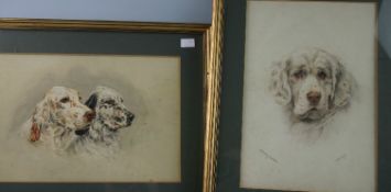 S RIPLEY; `WITLEY PUNCH`, canine portrait of a Clumber spaniel, watercolour, signed in gilt glazed
