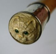 A late nineteenth century walking stick with white metal collar stopped with an ivory carved cat