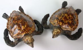 A pair of early twentieth century preserved common snapping turtles with hook mounts.