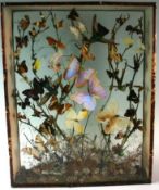 A Victorian butterfly and bird specimen vitrine with mock-landscape and double sided glass panels.