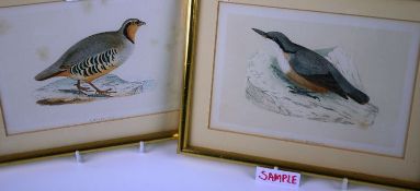 SET OF TWELVE ORNITHOLOGICAL PRINTS; hand coloured prints of various birds including; Willow Grouse,