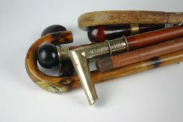 A group of seven Victorian and later walking sticks and canes of various styles including ball, hook