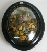 A Victorian butterfly specimen vitrine with mock-landscape housed in oval ebonised frame and with