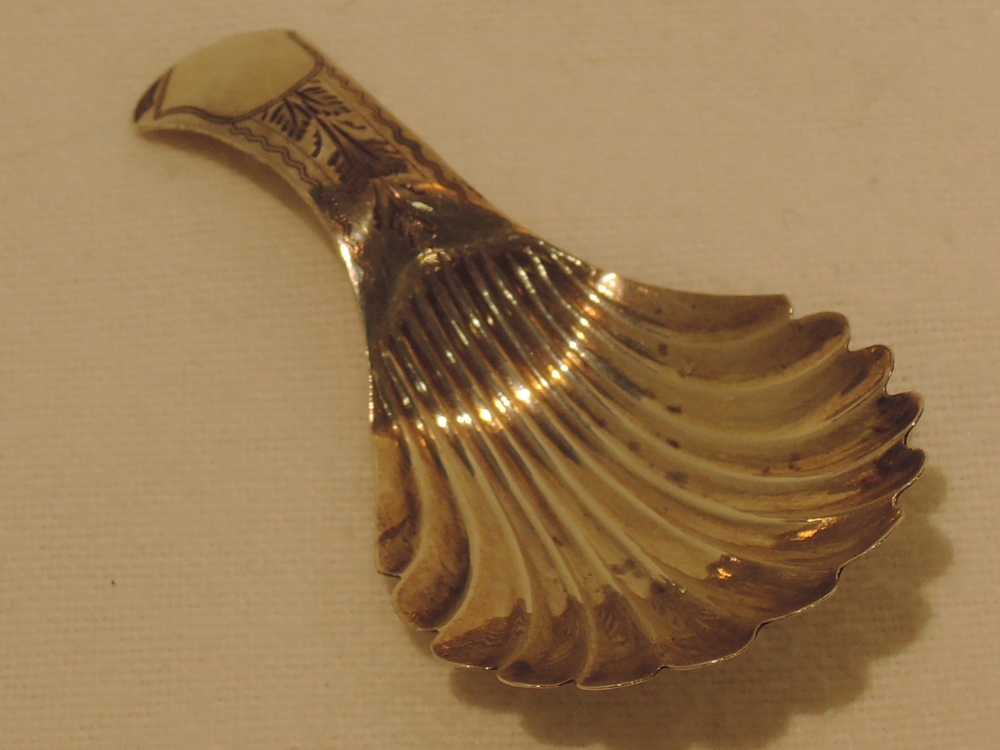 A silver caddy spoon, of shell form, Birmingham 1831, Taylor & Perry