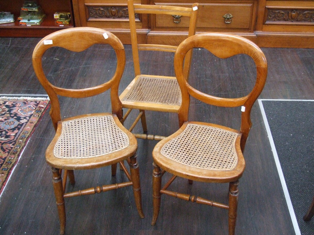 A pair of Victorian bleached bedroom chairs having balloon backs and cane seats and an Edwardian