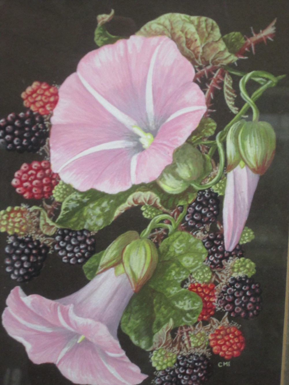 A watercolour, Christine Isherwood, still life with blackberries, initialled