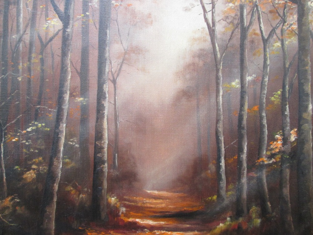 An oil painting, Trevor R Owens, woodland path, signed and dated